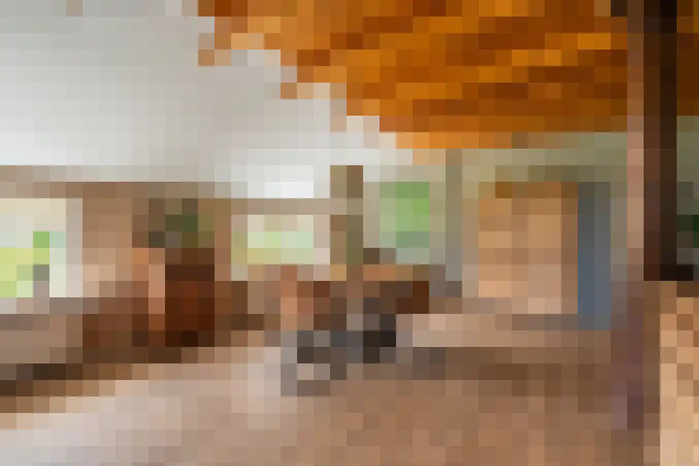Vlagtwedderstraat 55 Bourtange thumbnail 28