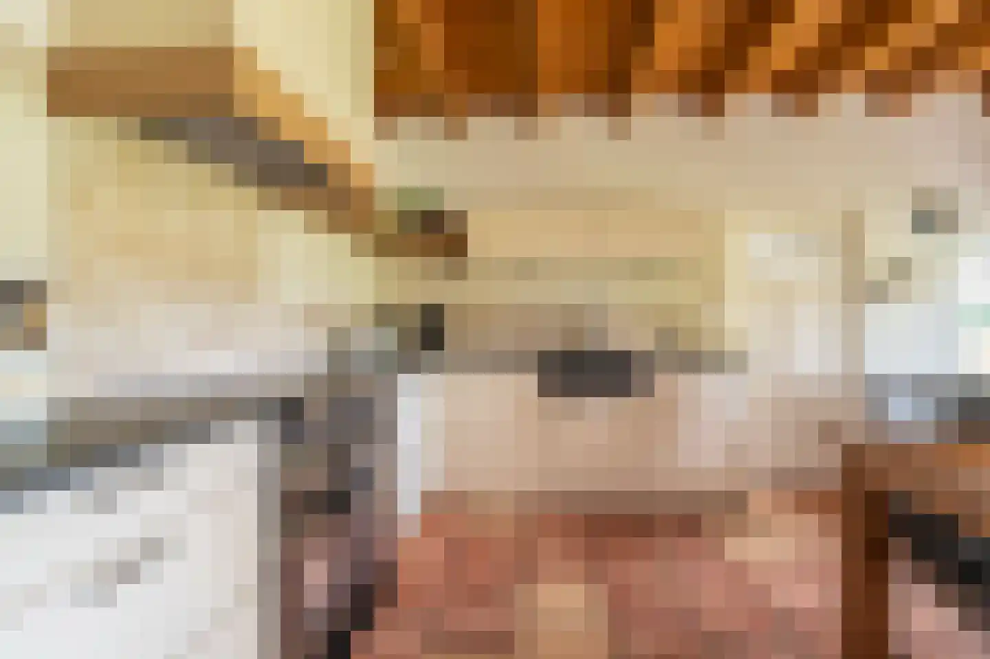 Vlagtwedderstraat 55 Bourtange thumbnail 29