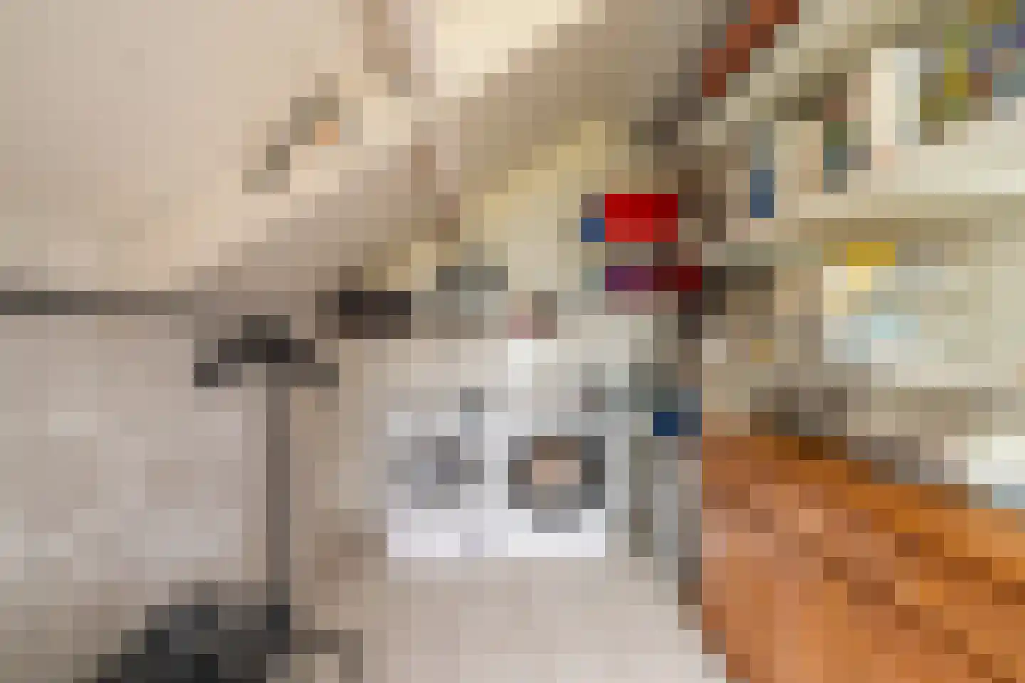 Vlagtwedderstraat 55 Bourtange thumbnail 34