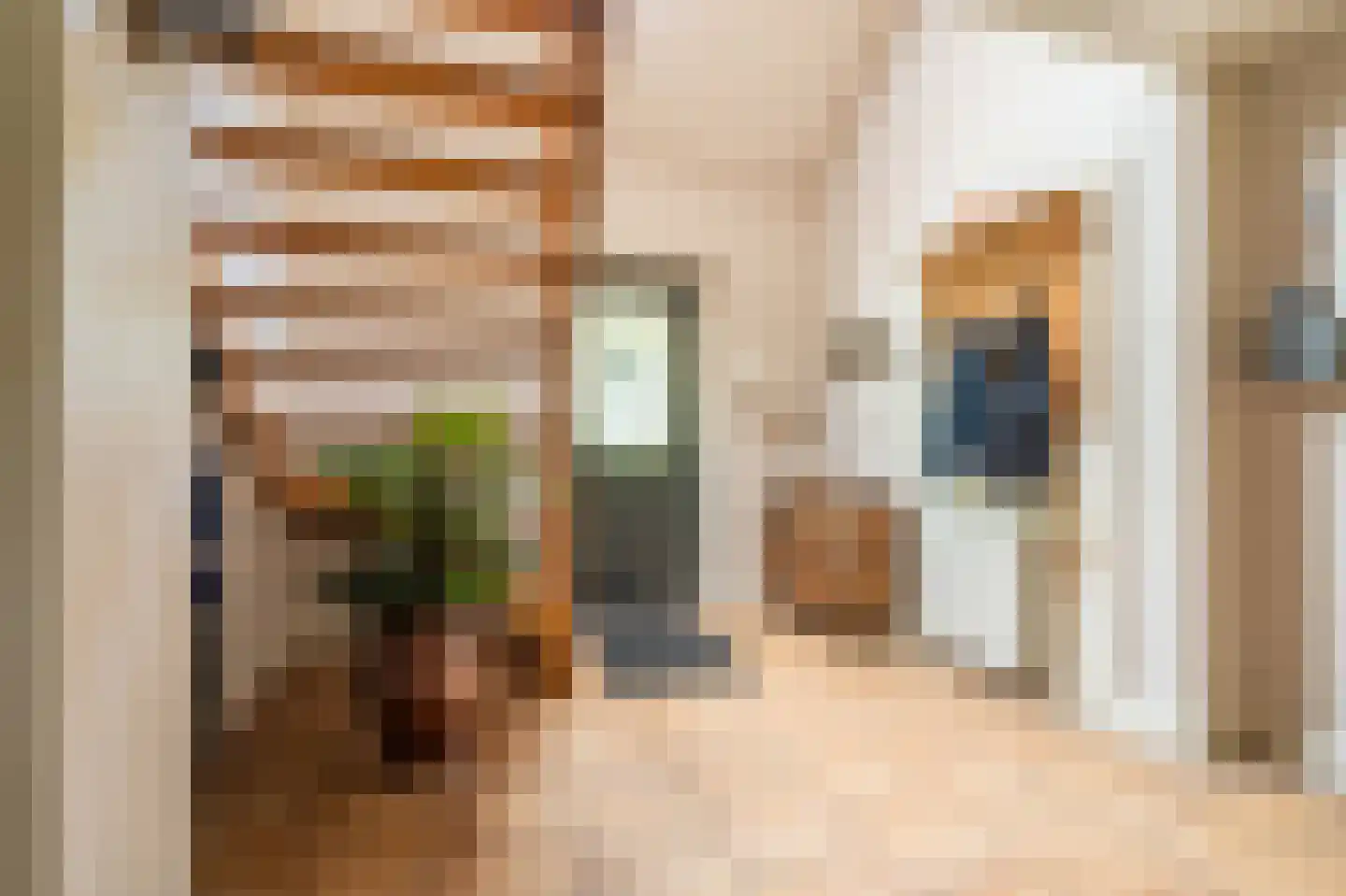 Vlagtwedderstraat 55 Bourtange thumbnail 36