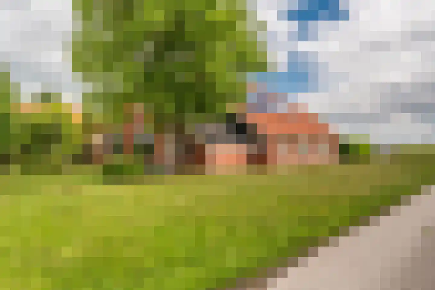 Vlagtwedderstraat 55 Bourtange thumbnail 4