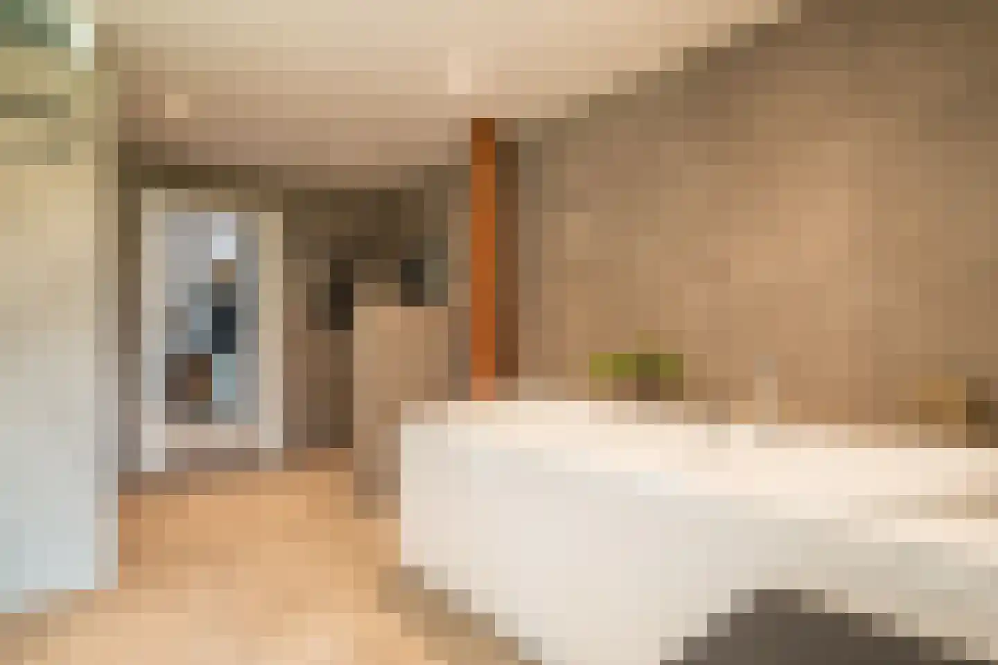 Vlagtwedderstraat 55 Bourtange thumbnail 46