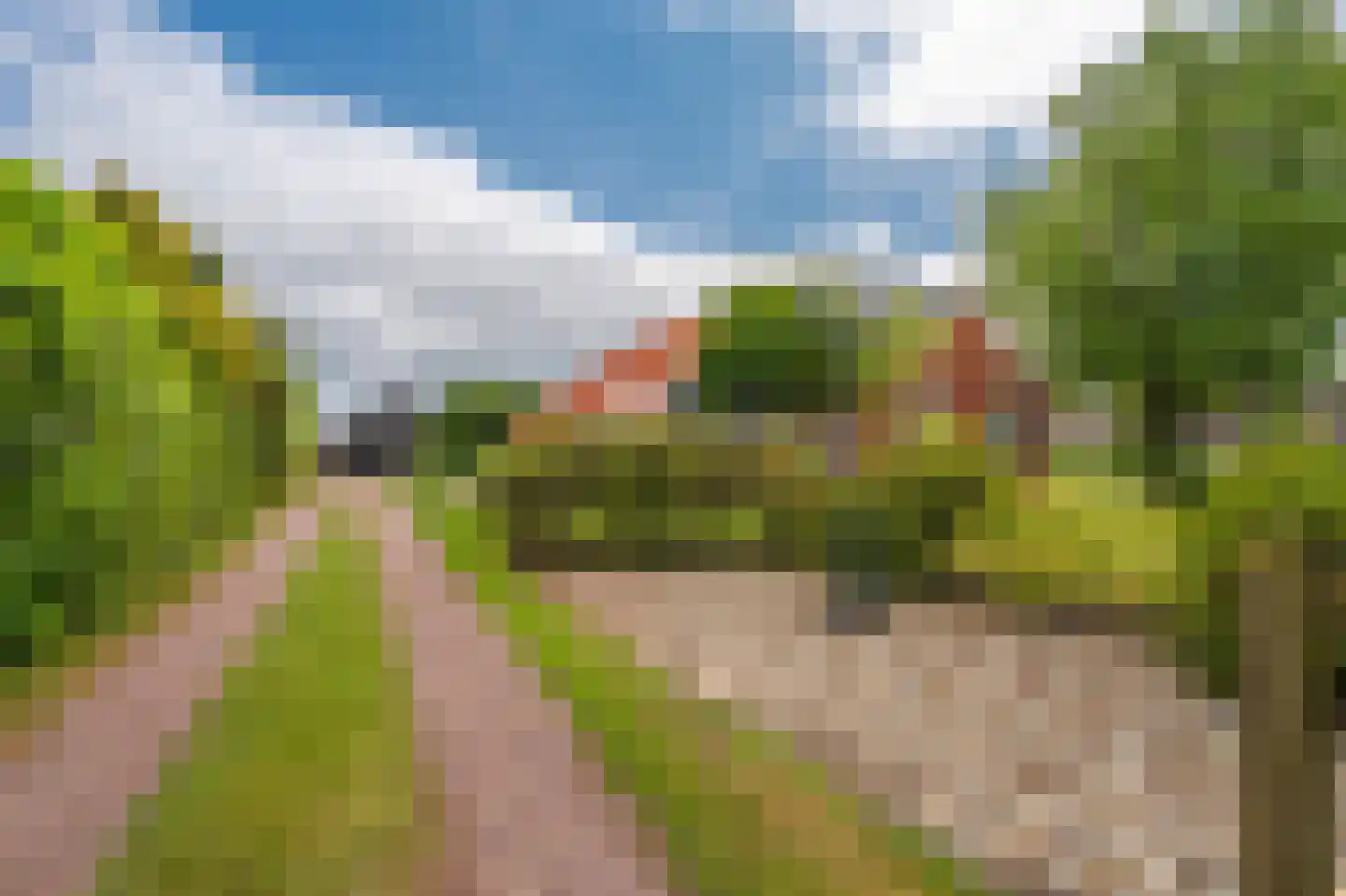 Vlagtwedderstraat 55 Bourtange thumbnail 5