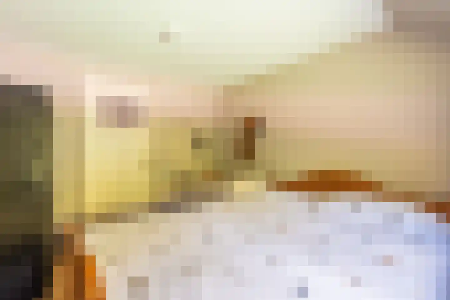 Vlagtwedderstraat 55 Bourtange thumbnail 50
