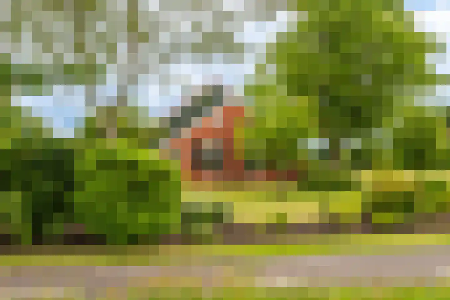 Vlagtwedderstraat 55 Bourtange thumbnail 7