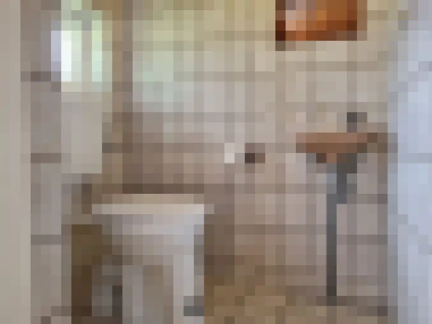 Vlagtwedderstraat 58 Bourtange thumbnail 13