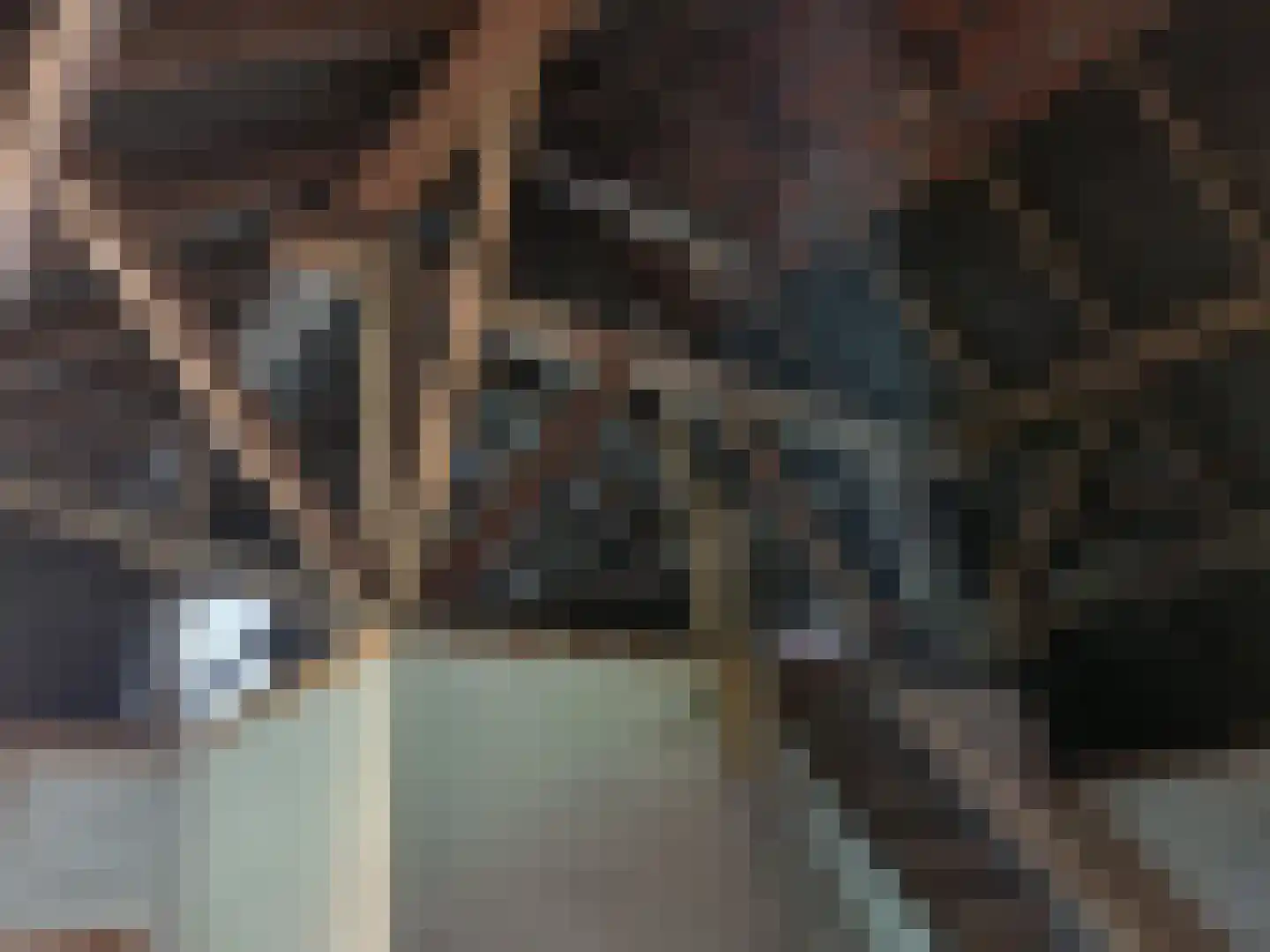 Vlagtwedderstraat 58 Bourtange thumbnail 16