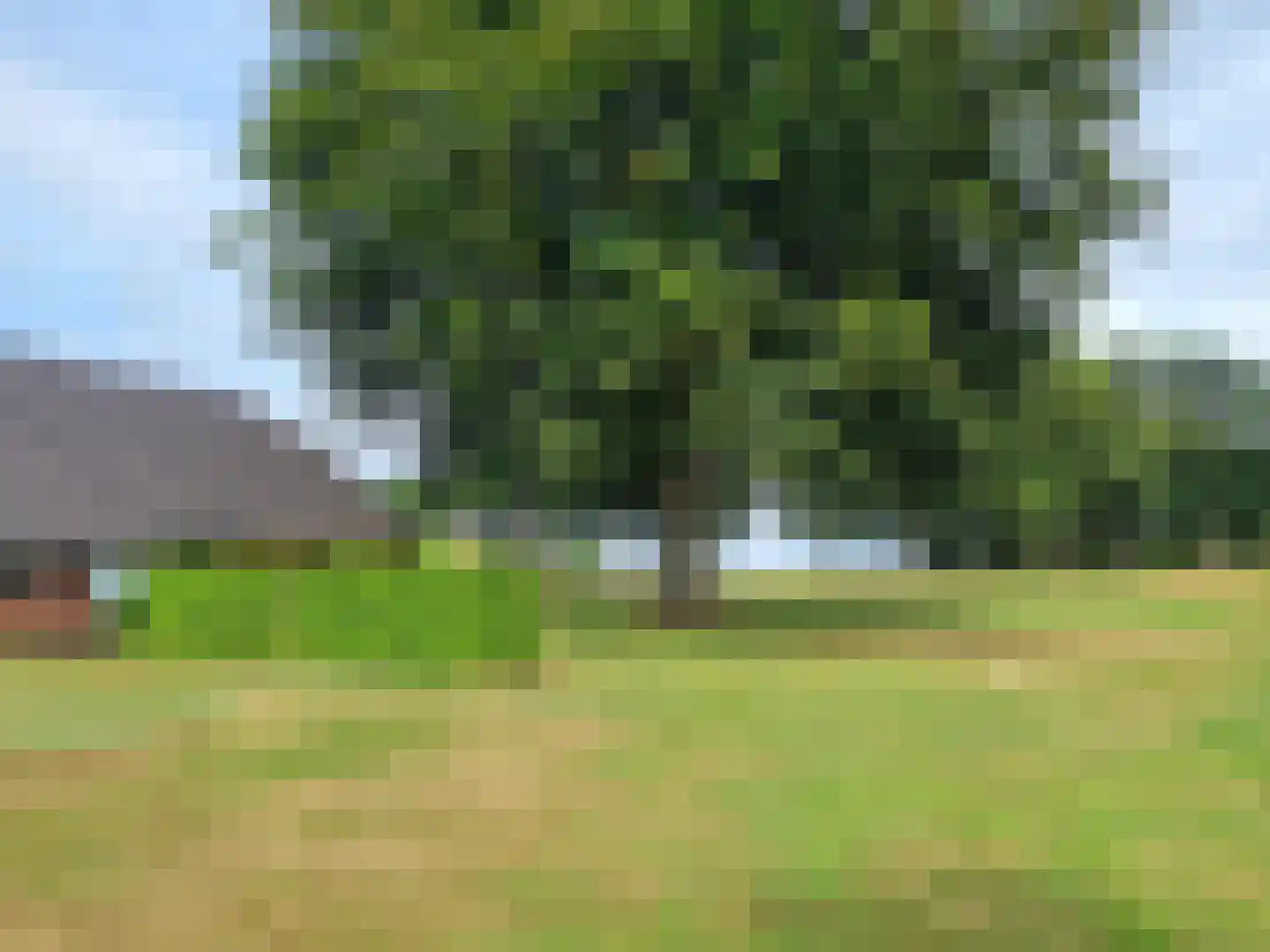 Vlagtwedderstraat 58 Bourtange thumbnail 5