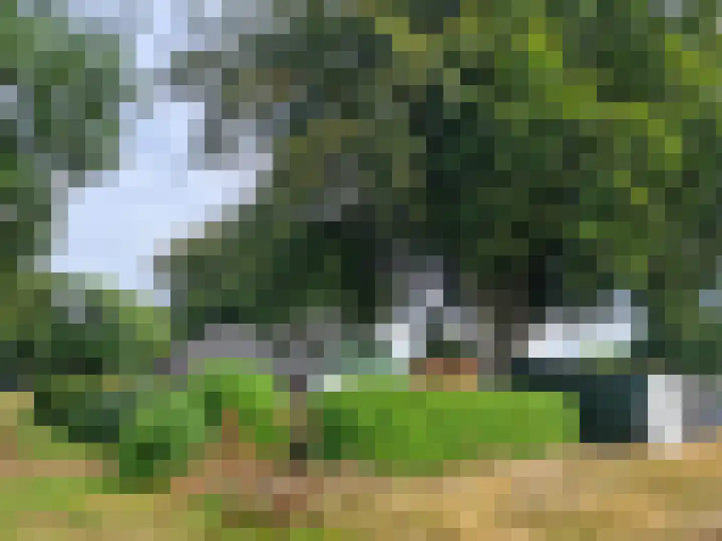 Vlagtwedderstraat 58 Bourtange thumbnail 6