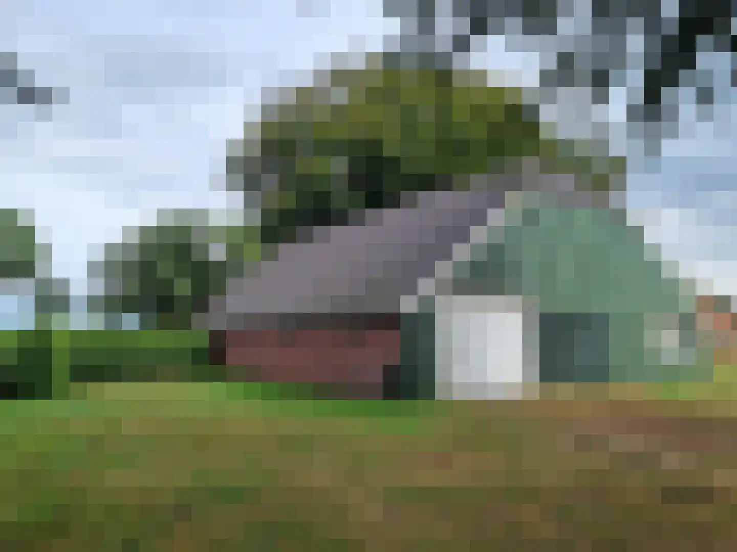 Vlagtwedderstraat 58 Bourtange thumbnail 7
