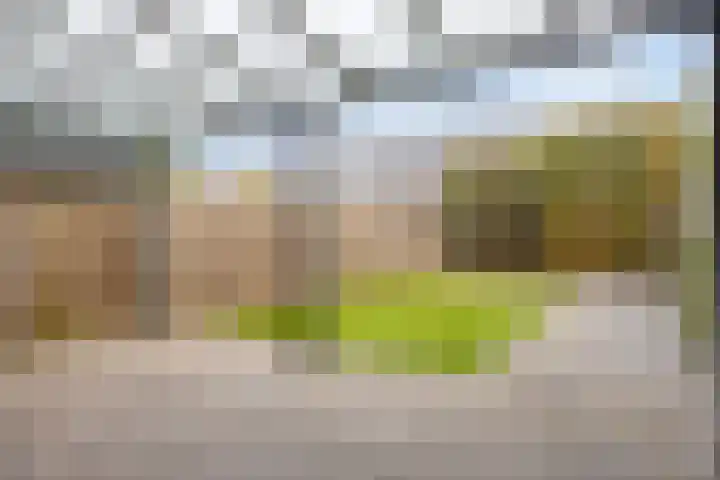 Vlagtweddestraat 119 Tilburg thumbnail 31