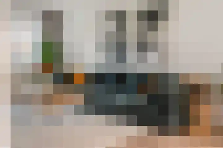 Vlagzalm 11 Tiel thumbnail 10