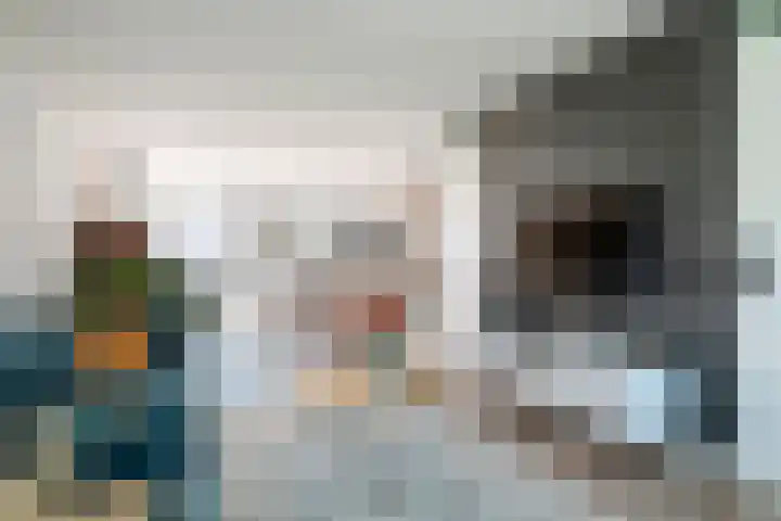 Vlagzalm 11 Tiel thumbnail 12