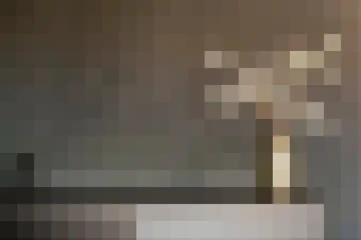Vlagzalm 11 Tiel thumbnail 14
