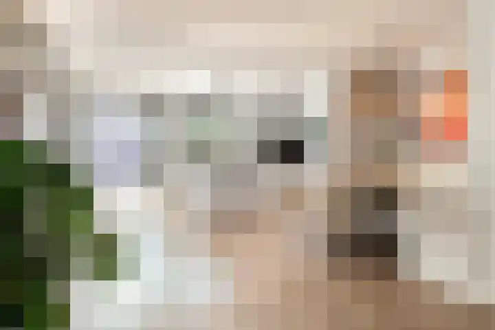 Vlagzalm 11 Tiel thumbnail 15