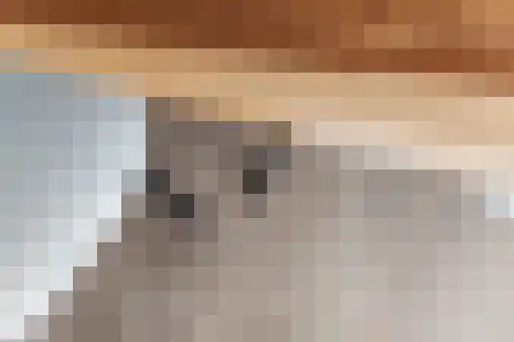 Vlagzalm 11 Tiel thumbnail 16