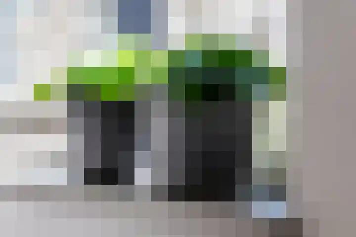 Vlagzalm 11 Tiel thumbnail 19