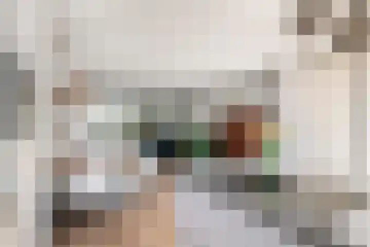 Vlagzalm 11 Tiel thumbnail 20