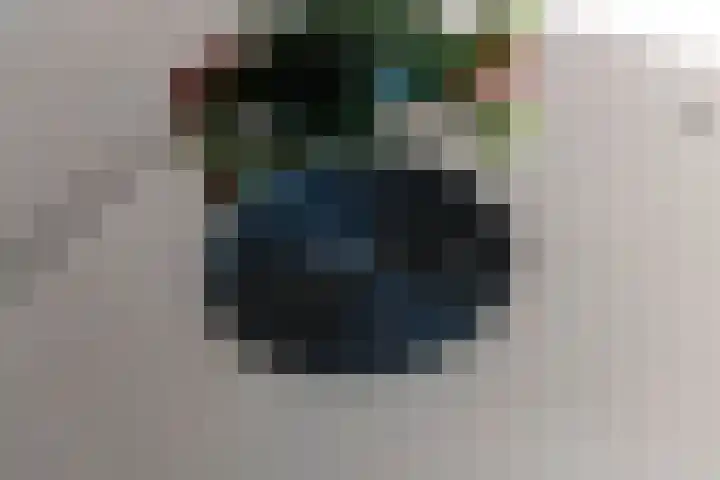 Vlagzalm 11 Tiel thumbnail 21