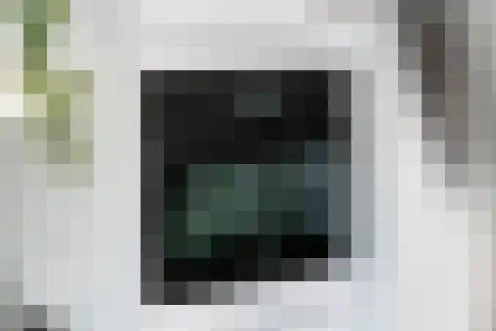 Vlagzalm 11 Tiel thumbnail 23