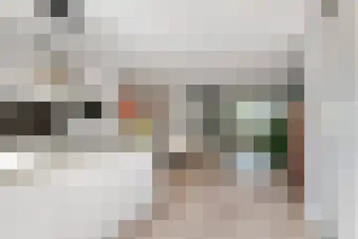 Vlagzalm 11 Tiel thumbnail 26
