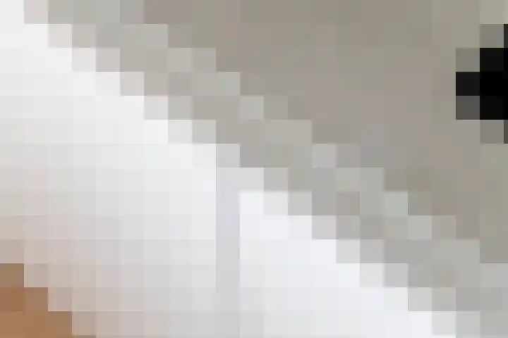 Vlagzalm 11 Tiel thumbnail 27