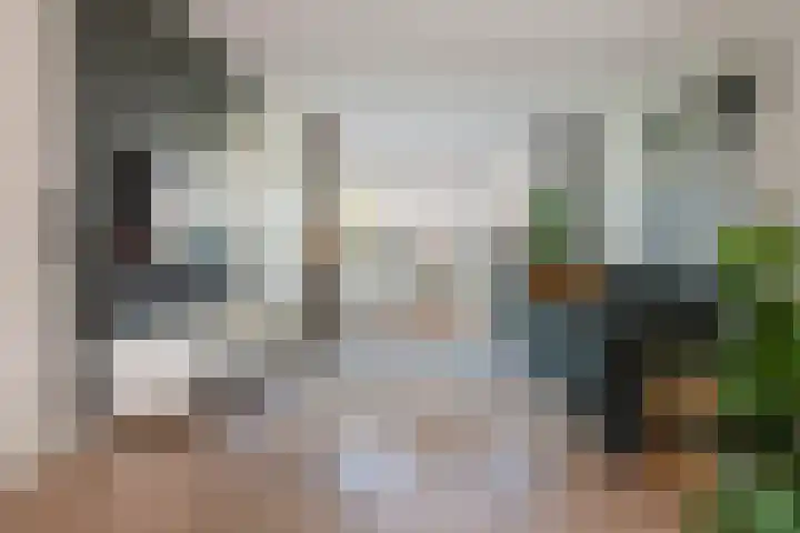 Vlagzalm 11 Tiel thumbnail 28