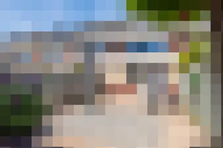 Vlagzalm 11 Tiel thumbnail 33
