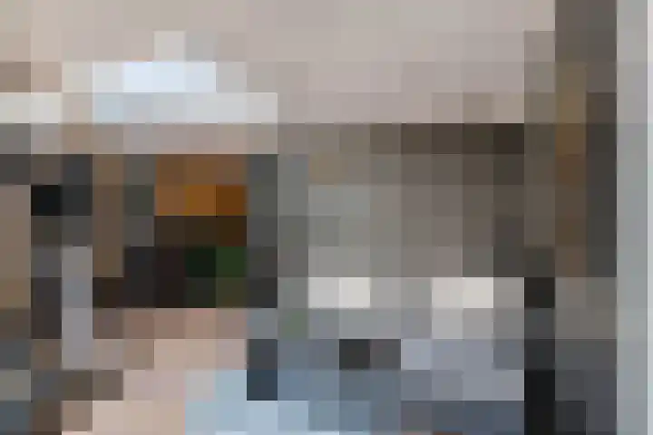 Vlagzalm 11 Tiel thumbnail 35