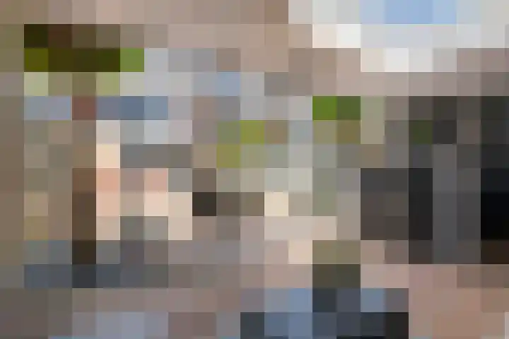 Vlagzalm 11 Tiel thumbnail 37