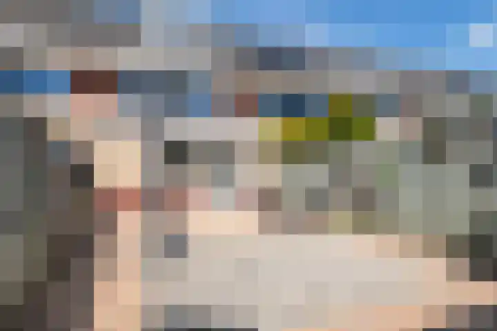 Vlagzalm 11 Tiel thumbnail 38