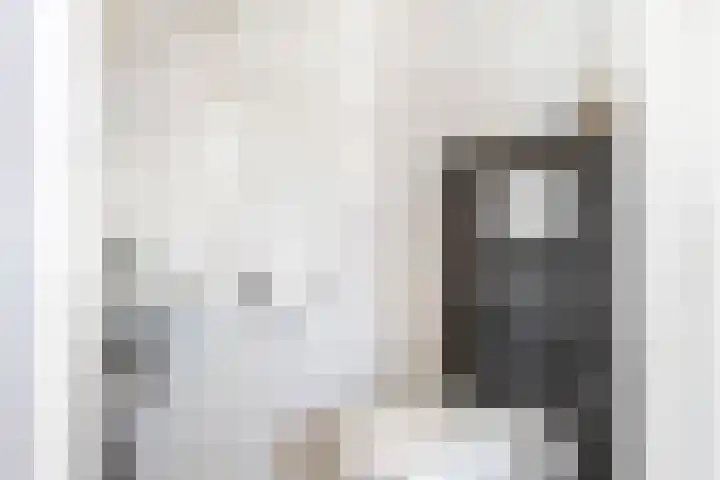 Vlagzalm 11 Tiel thumbnail 40