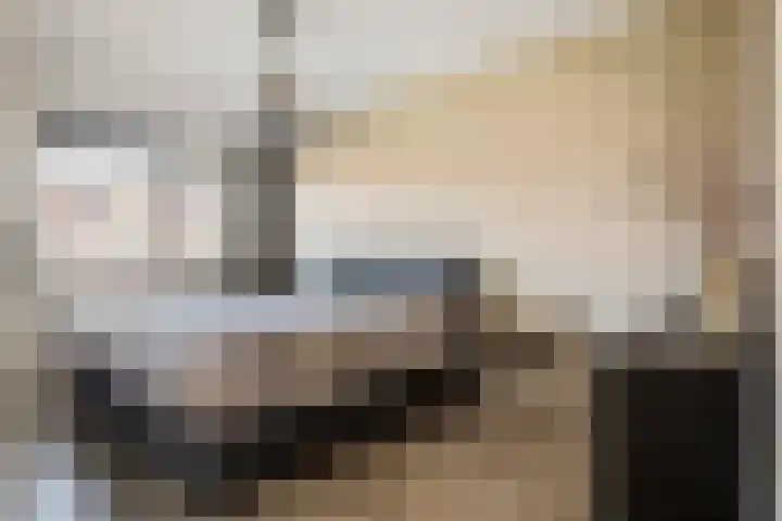 Vlagzalm 11 Tiel thumbnail 42