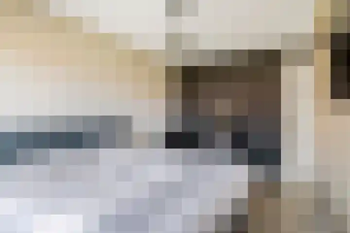 Vlagzalm 11 Tiel thumbnail 43