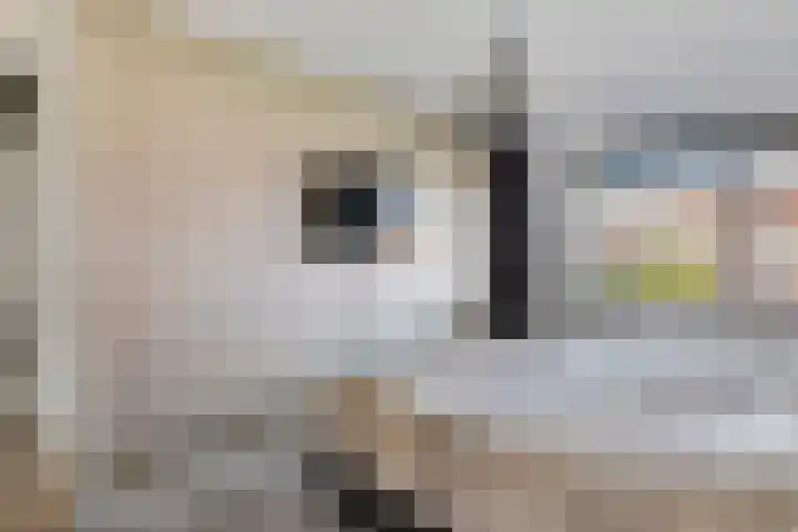 Vlagzalm 11 Tiel thumbnail 44