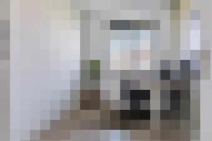 Vlagzalm 11 Tiel thumbnail 45