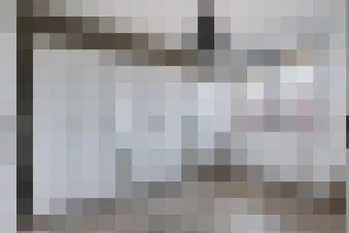 Vlagzalm 11 Tiel thumbnail 46