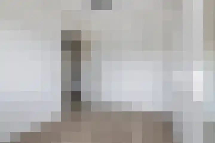 Vlagzalm 11 Tiel thumbnail 47