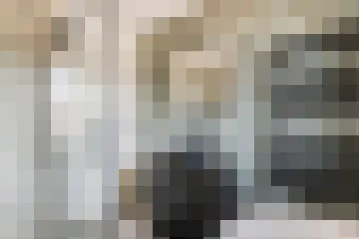 Vlagzalm 11 Tiel thumbnail 48