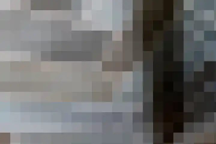 Vlagzalm 11 Tiel thumbnail 49