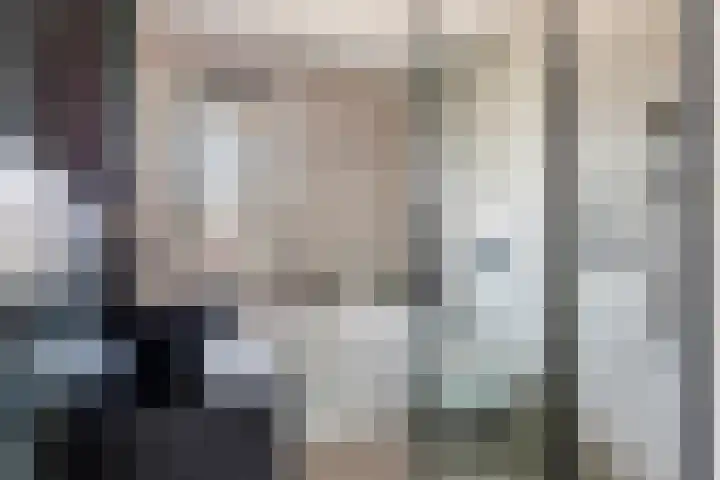 Vlagzalm 11 Tiel thumbnail 5