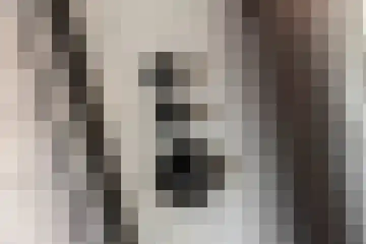 Vlagzalm 11 Tiel thumbnail 50