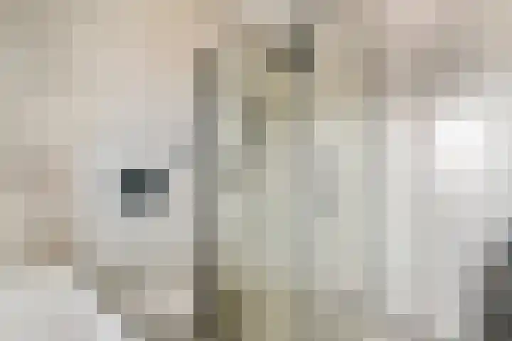 Vlagzalm 11 Tiel thumbnail 51