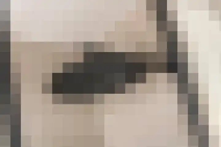 Vlagzalm 11 Tiel thumbnail 52
