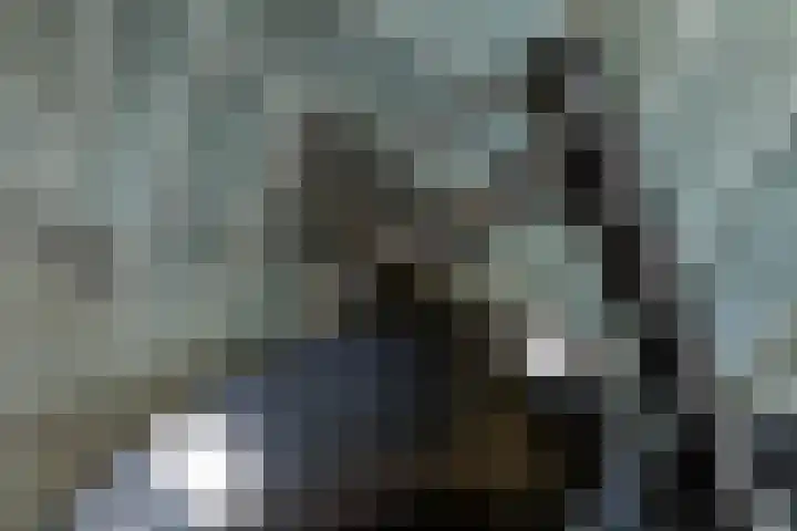 Vlagzalm 11 Tiel thumbnail 53
