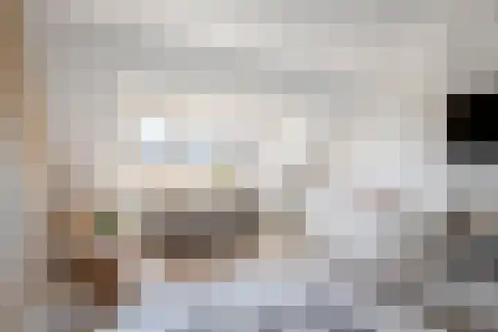 Vlagzalm 11 Tiel thumbnail 56