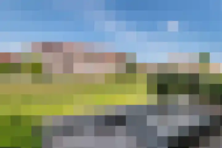 Vlagzalm 11 Tiel thumbnail 58