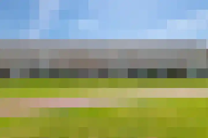 Vlagzalm 11 Tiel thumbnail 59