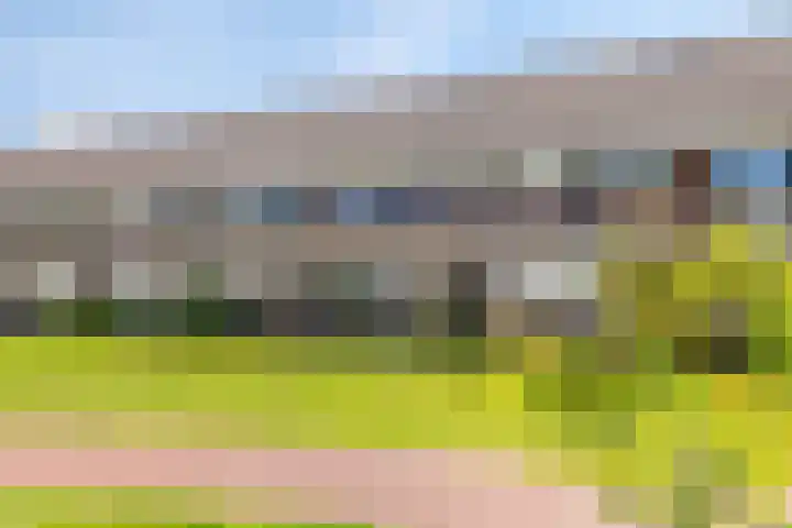 Vlagzalm 11 Tiel thumbnail 6