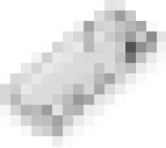 Vlagzalm 11 Tiel thumbnail 61